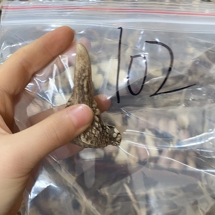 用***5无非金属鹿角鹿角鹿角鹿角