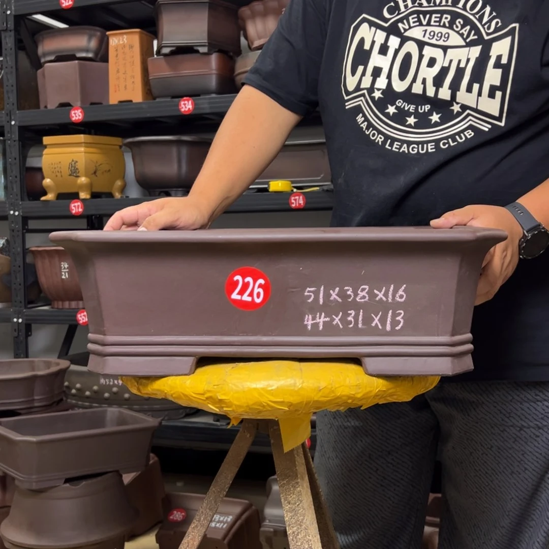 紫砂花盆呜呜呜呜呜我