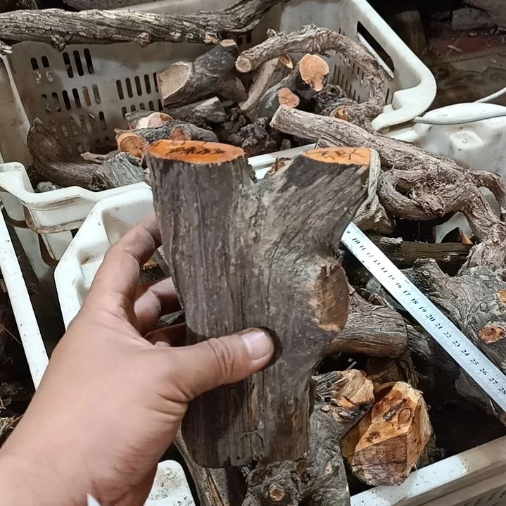 柏木（崖柏）拾***?崖柏原叉崖柏原叉