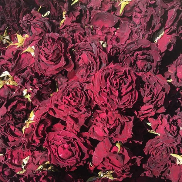 正宗墨红玫瑰花茶云南墨红玫瑰茶一朵一杯无添加玫瑰养神罐装批发