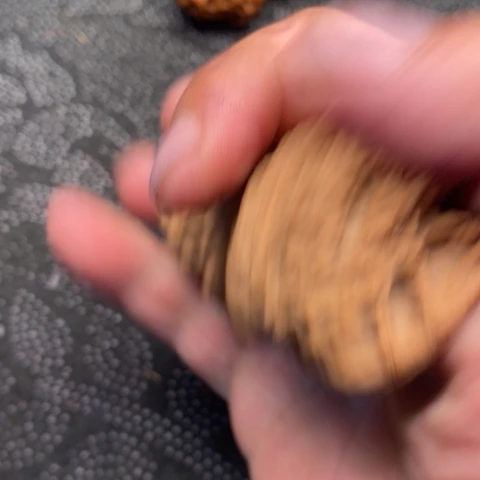 文玩核桃把件虎头15米