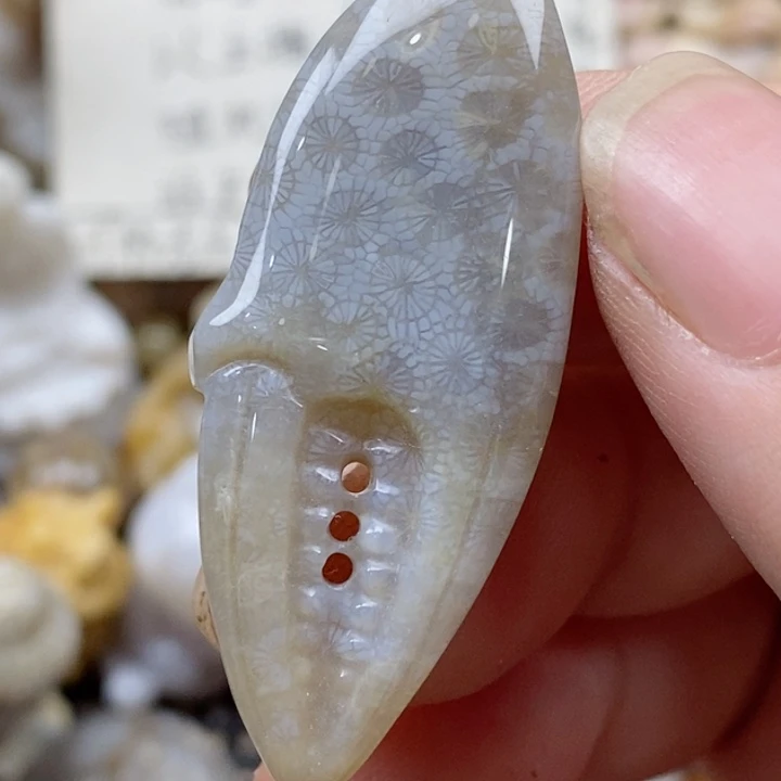 颈饰未镶嵌硅化珊瑚（珊瑚玉）