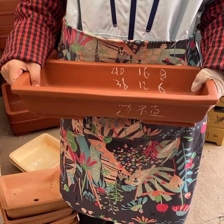 花盆紫砂来看看你