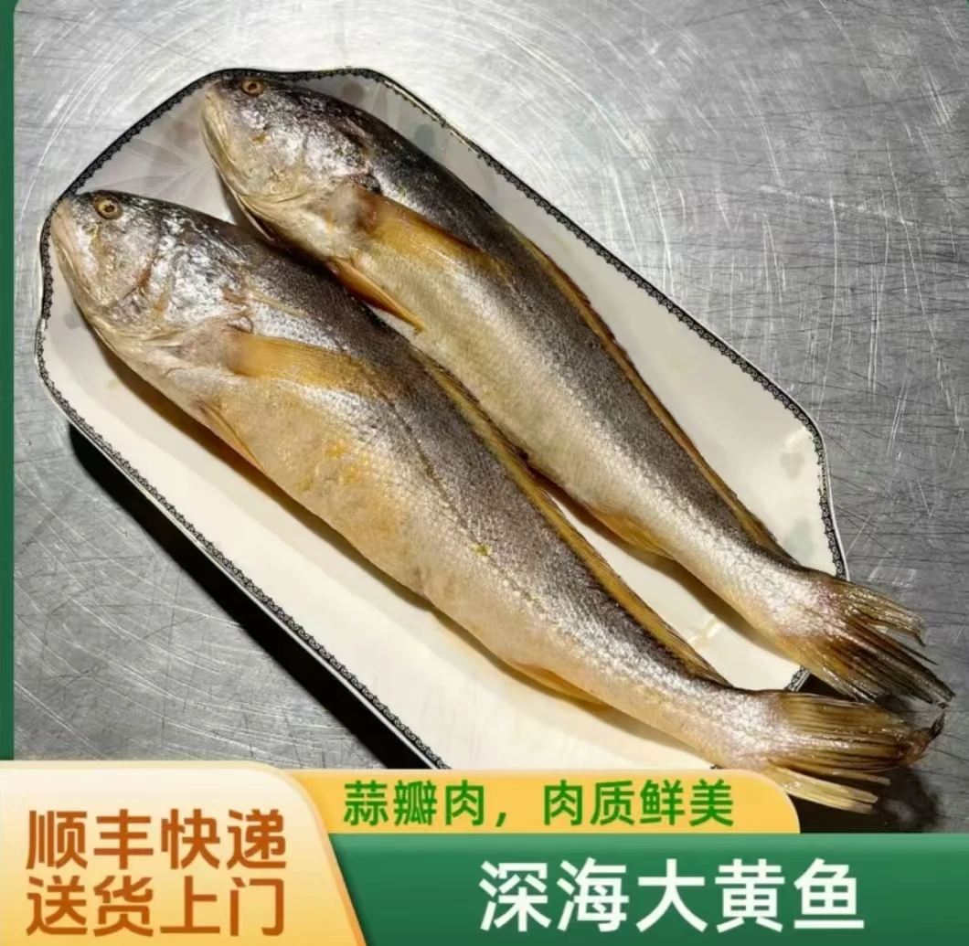 野生大个头海黄鱼肉质鲜嫩急冻锁鲜连云港直发半斤左右每条