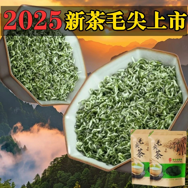 BV3毛尖2025新茶正宗贵州高山云雾春茶嫩芽明前花果香浓香型茶叶