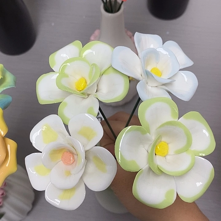 陶瓷陶瓷材料加工