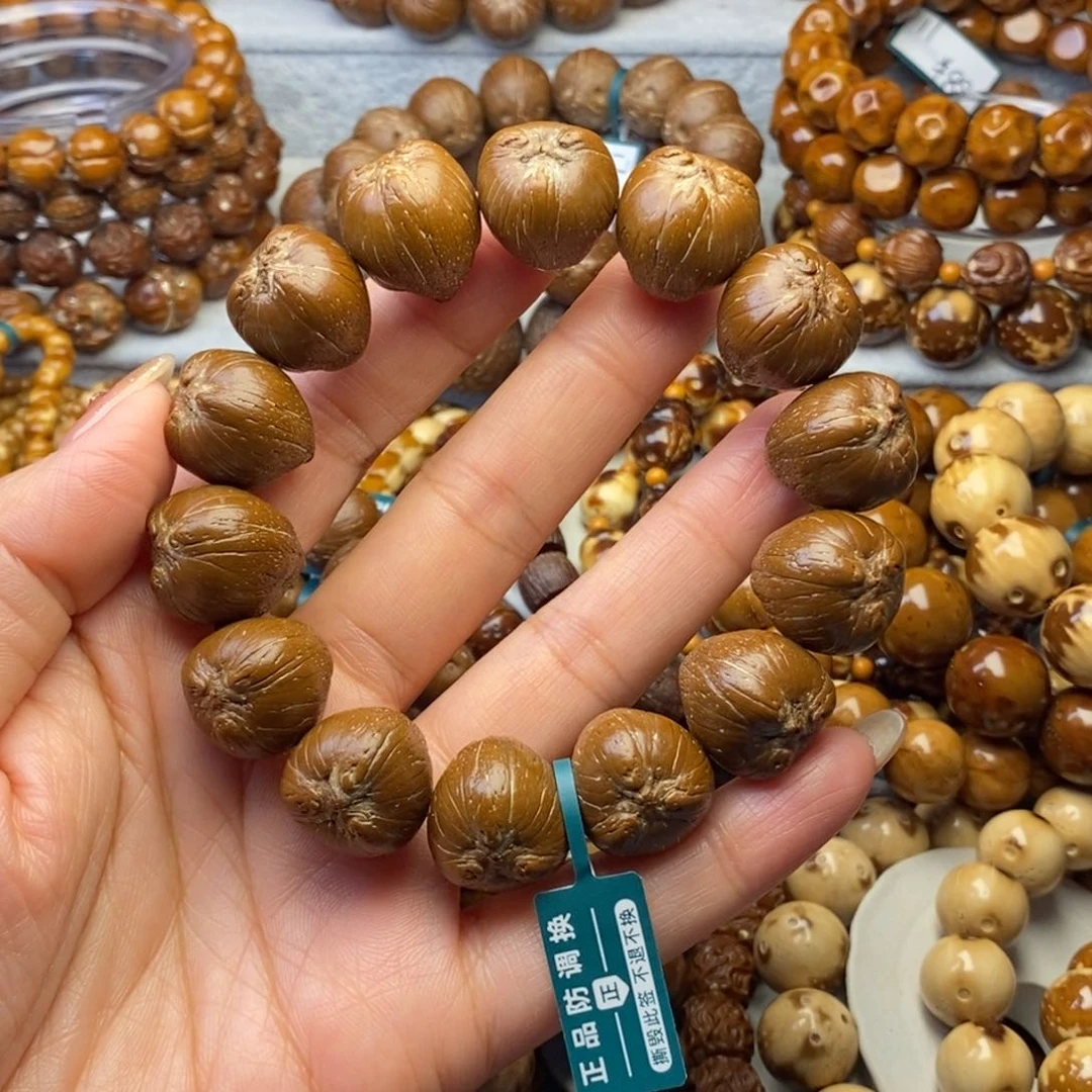 手串紫金鼠原皮加菲猫17+