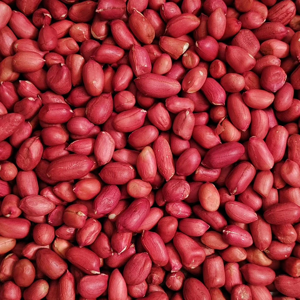 （阿武优选专属）湖南湘西老平种农家自产自销红皮花生米