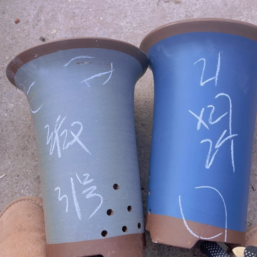 紫砂31…………………………