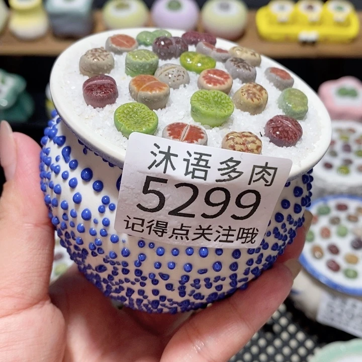 带盆土植物 一物一拍 5299