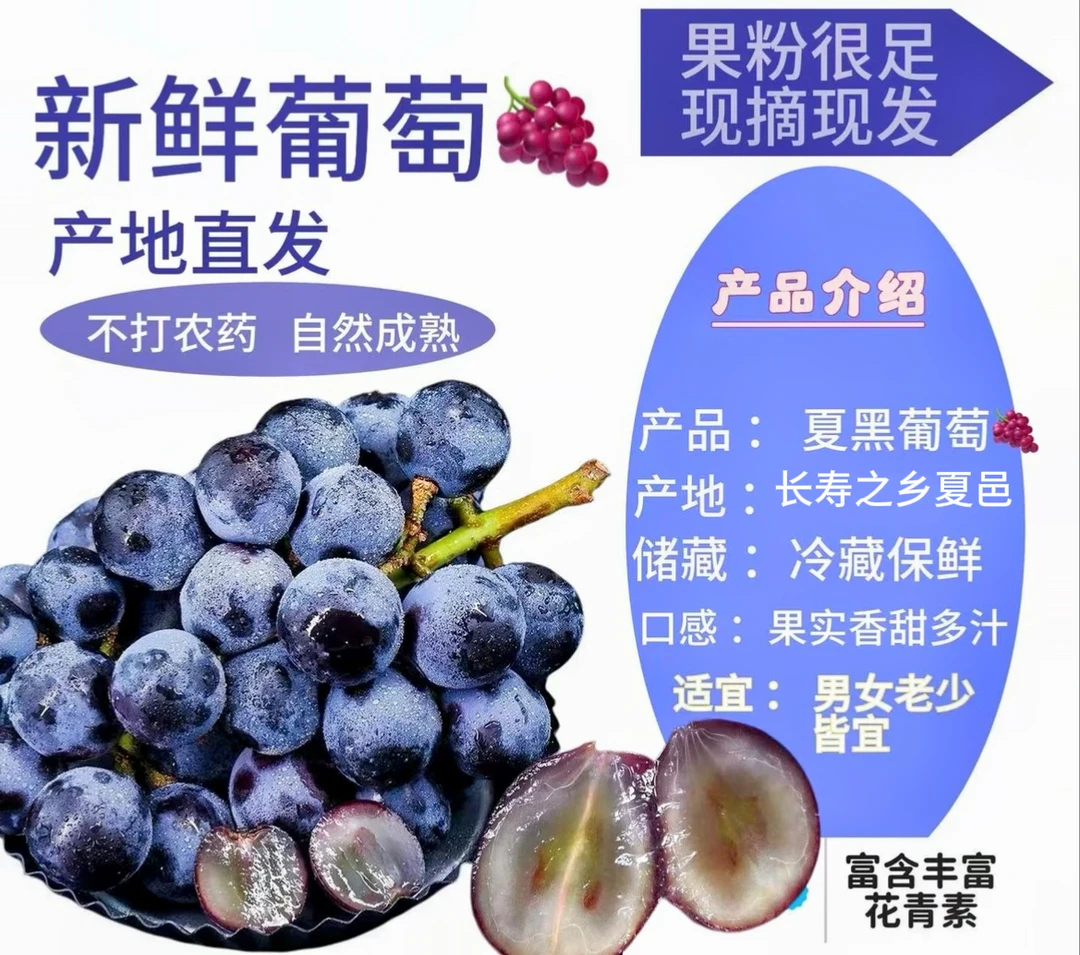 【长寿之乡】夏黑无籽葡萄