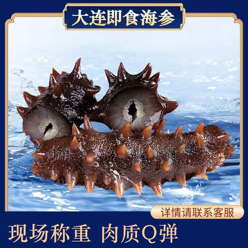 【正宗大连辽刺参4-10头】鲜蒸即食大连辽参