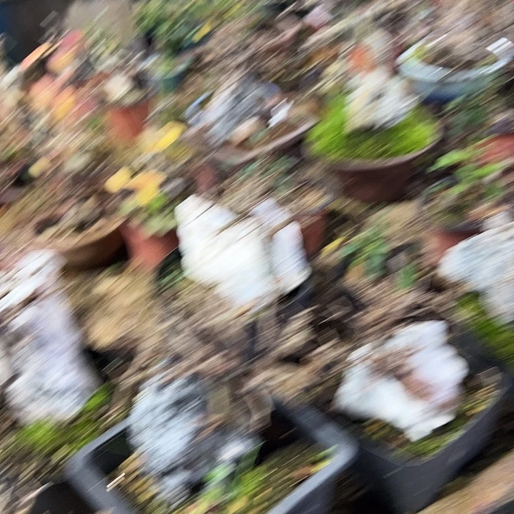 鳌***牛发发发发发发发发发