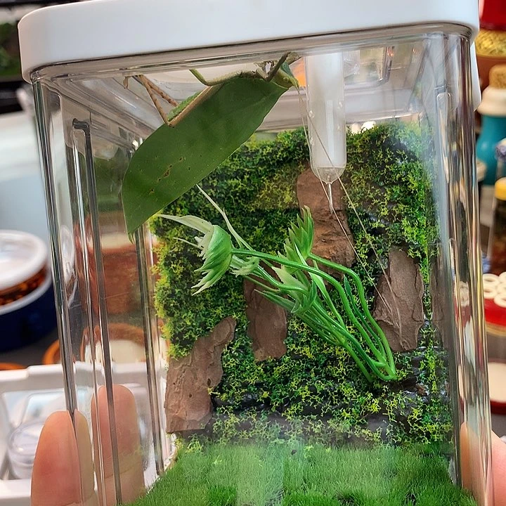 啊啊啊啊啊啊啊啊啊啊