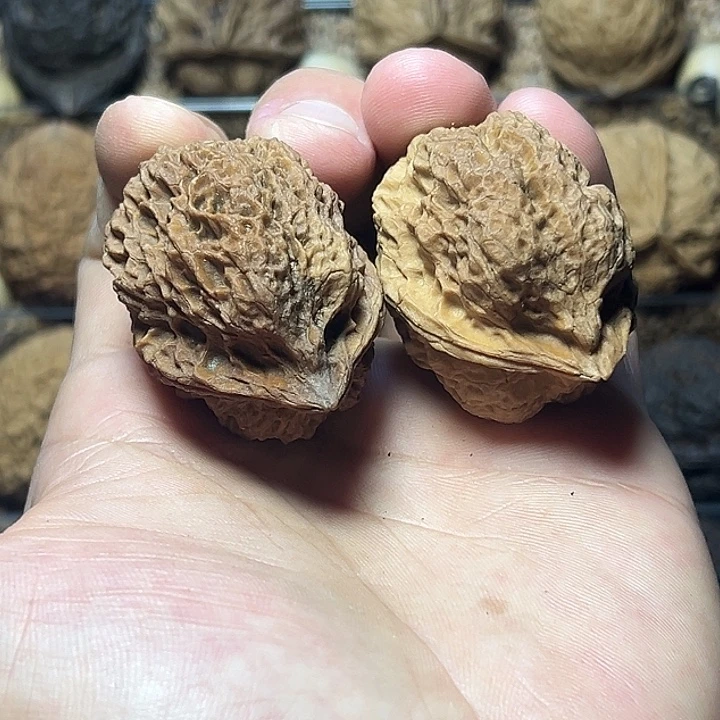 把件文玩核桃8号花彩珊瑚蟾39+