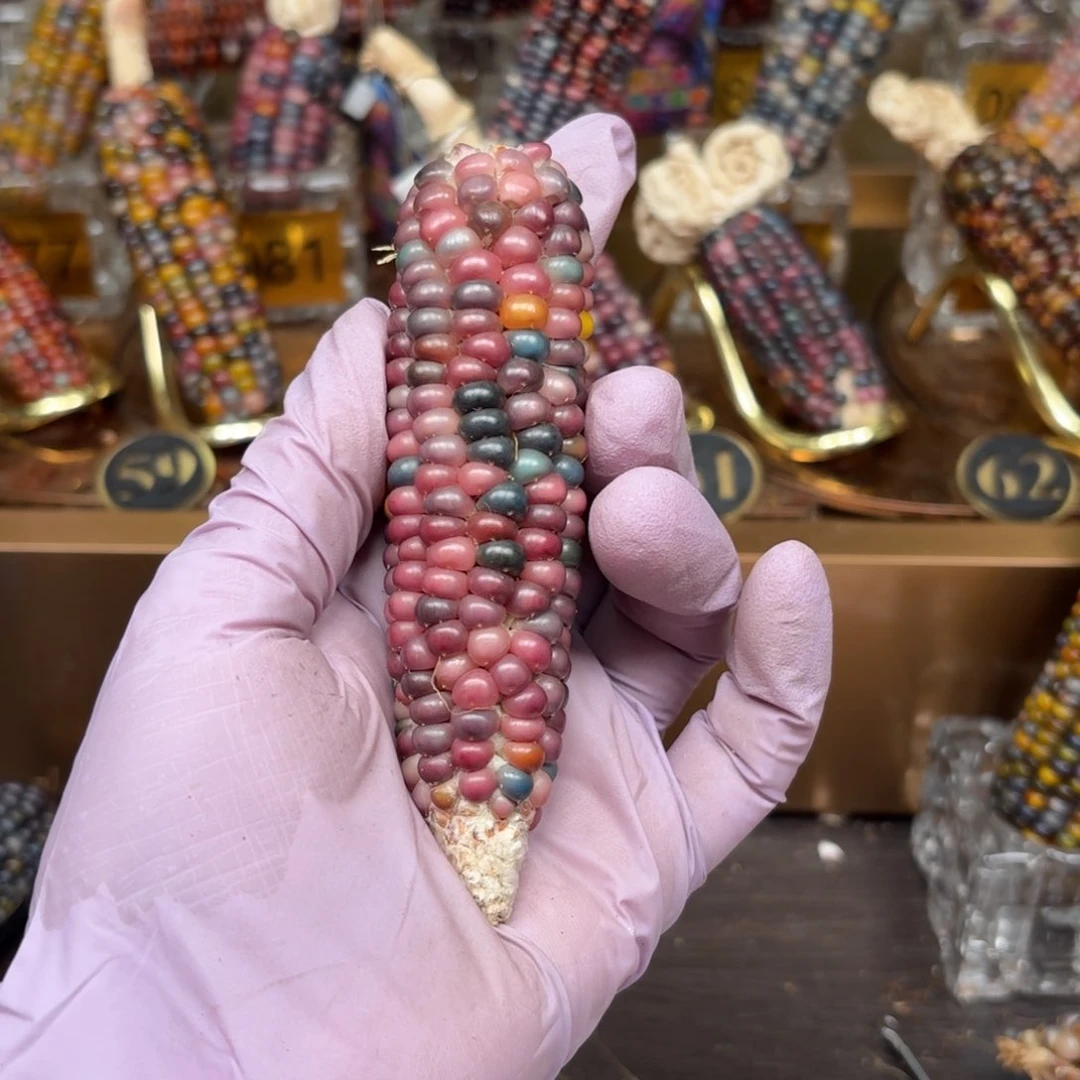 柏香籽/百香籽吊坠初***?