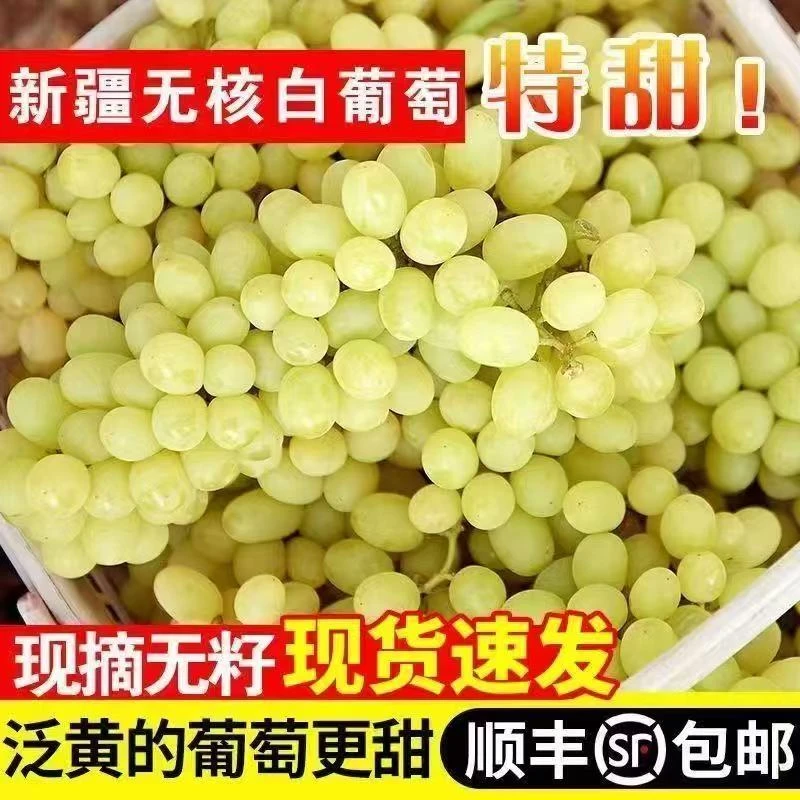 【顺丰包邮】正宗新疆吐鲁番无核白葡萄无籽新鲜当季水果整箱马奶提