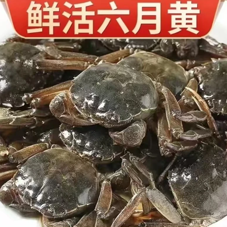 1.9-2.1二斤168(顺丰包邮)海鲜