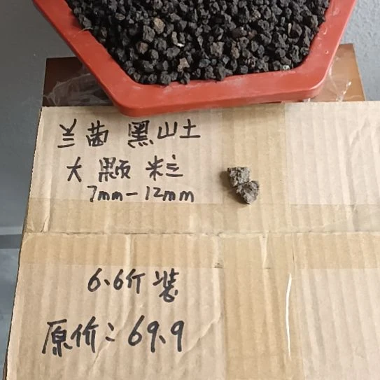 土***啡兰菌黑山土大颗粒6.6斤