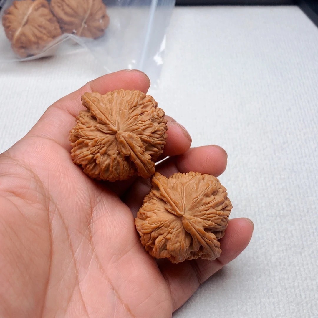 核桃42尺全品白狮子