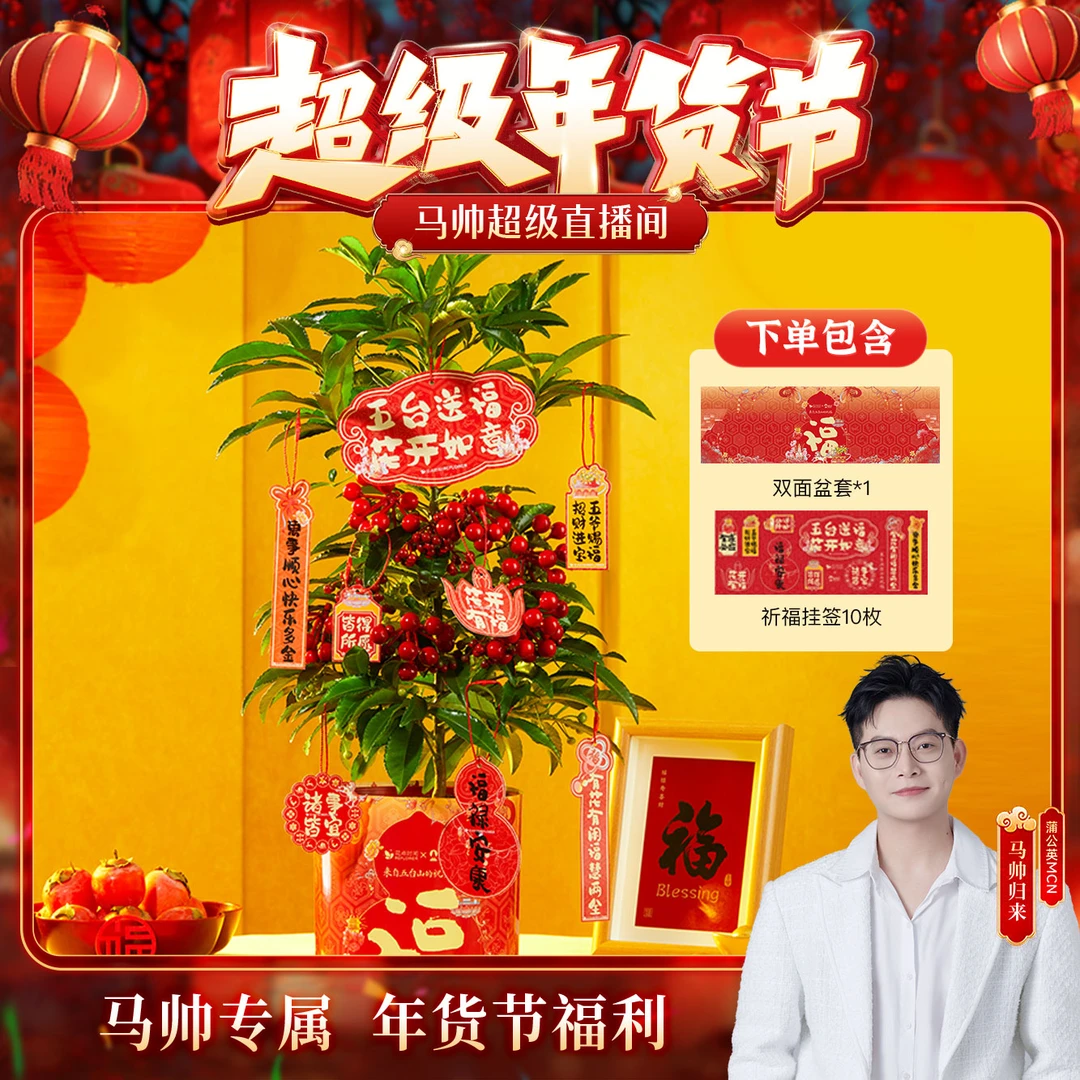 【马帅专享】花点时间五台送福系列绿植盆栽富贵籽