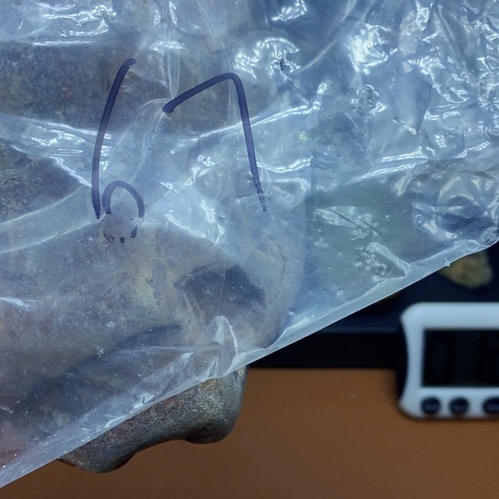 如**光jv vu y y c c y c y c