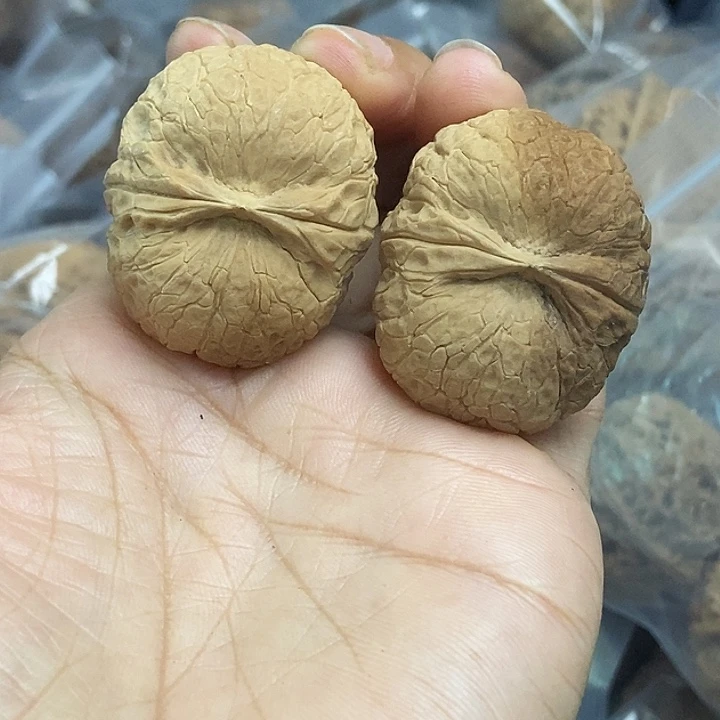 木质类云南铁核桃基地31