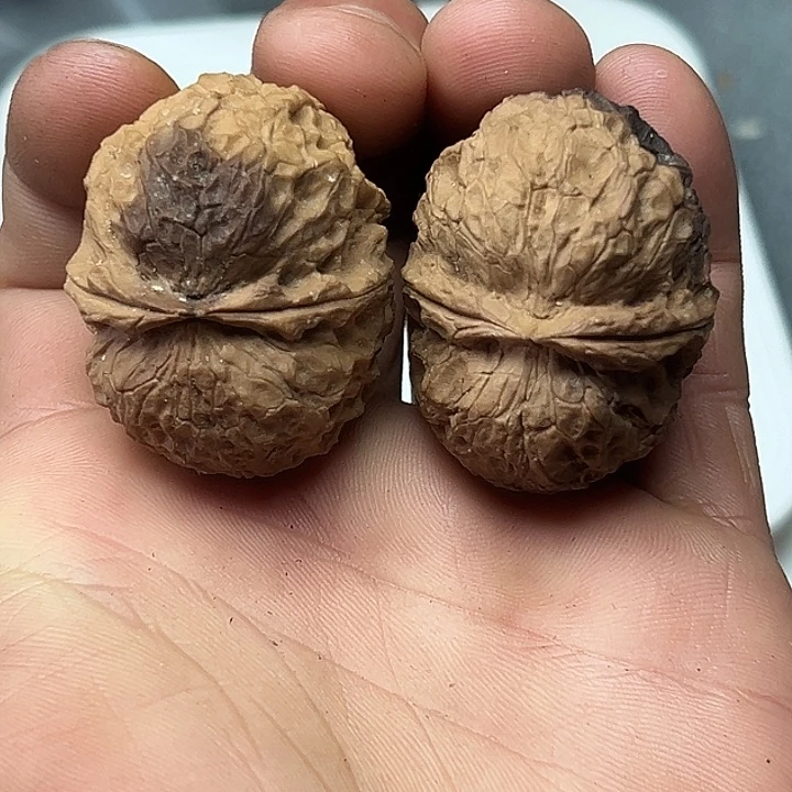 文玩核桃把件22号云铁39尺29克