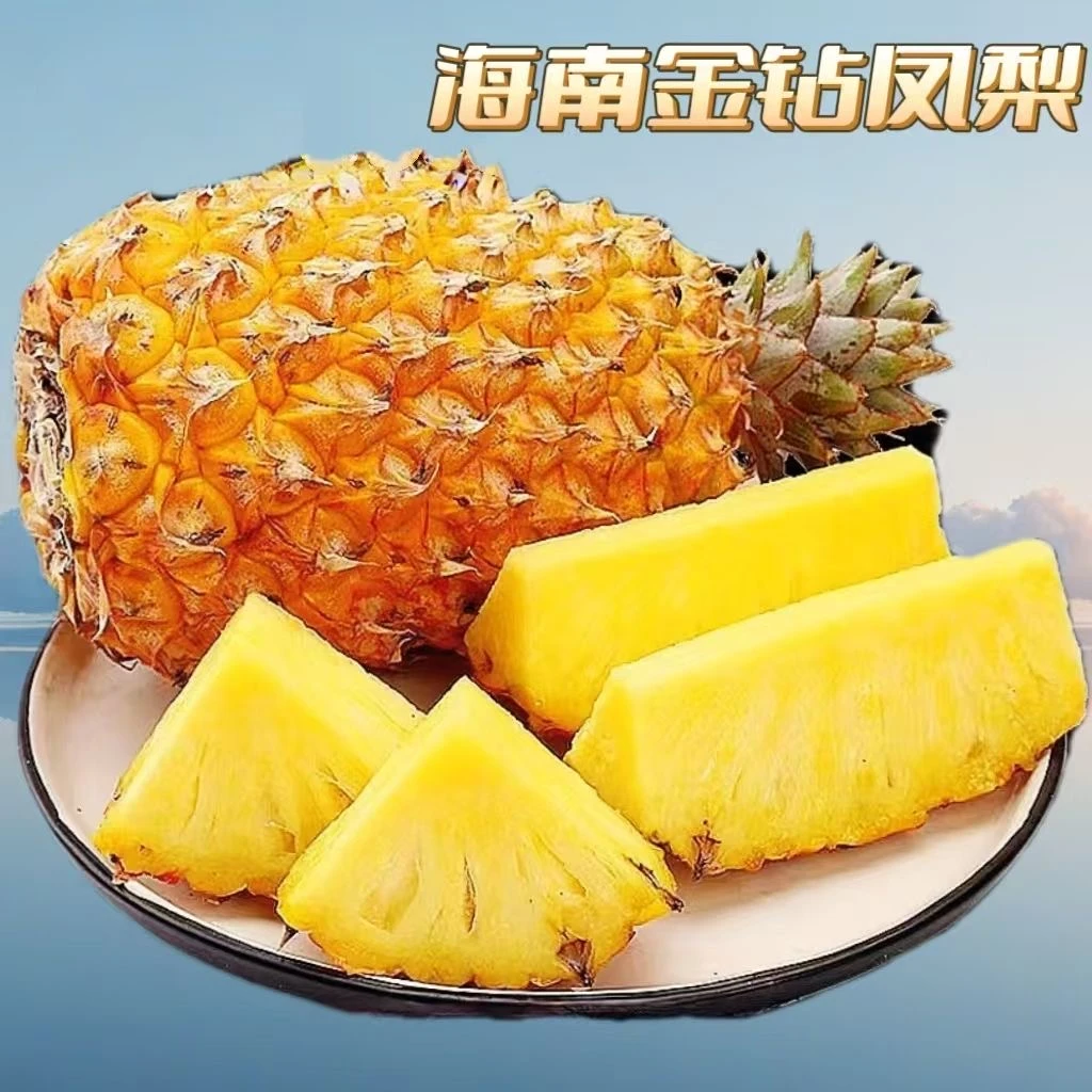 【汇峰农场】海南树熟金钻凤梨4.5-5斤装 (±2两)顺丰包邮