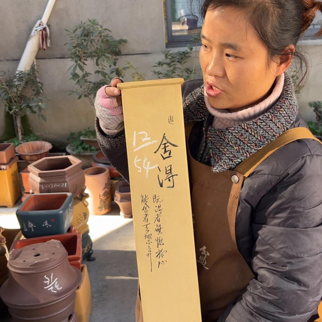 花盆紫砂盆景艺术