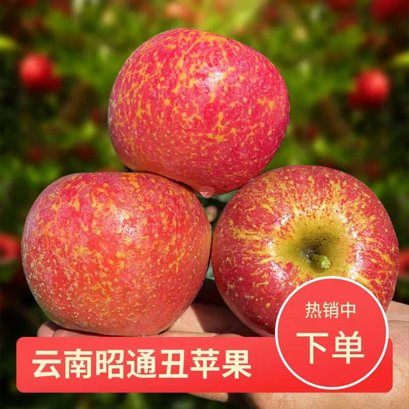 正宗云南昭通苹果产地直发新鲜当季丑石榴苹果清甜果肉红肉苹果