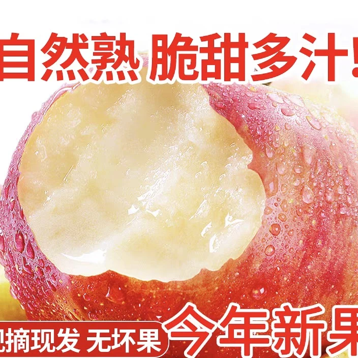 甘肃当季红富士苹果新鲜现摘脆甜多汁整箱（24个）12斤左右包邮