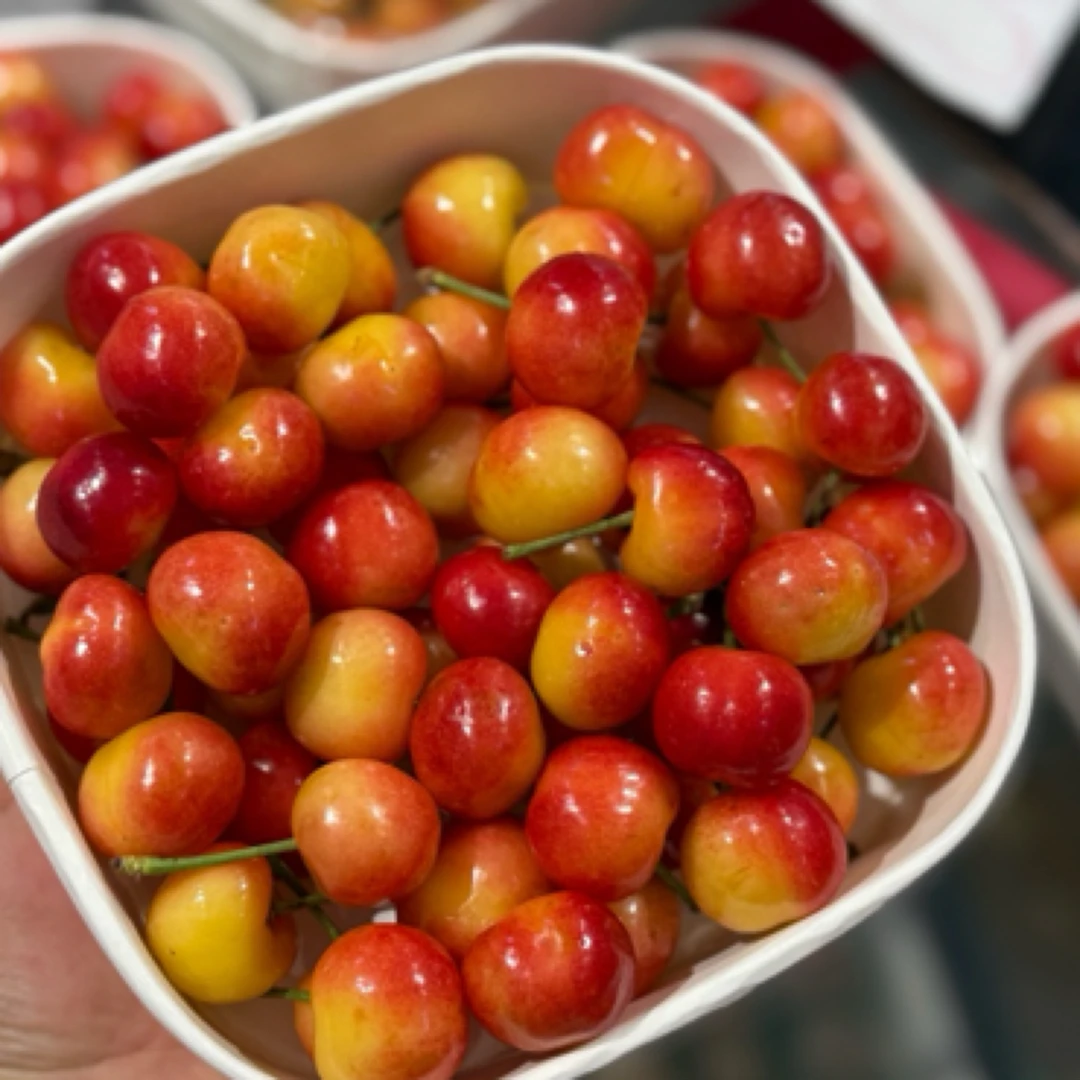 国产斯卡拉雷黄樱桃美国红樱桃大连樱桃【一斤】L酸甜口其他品种