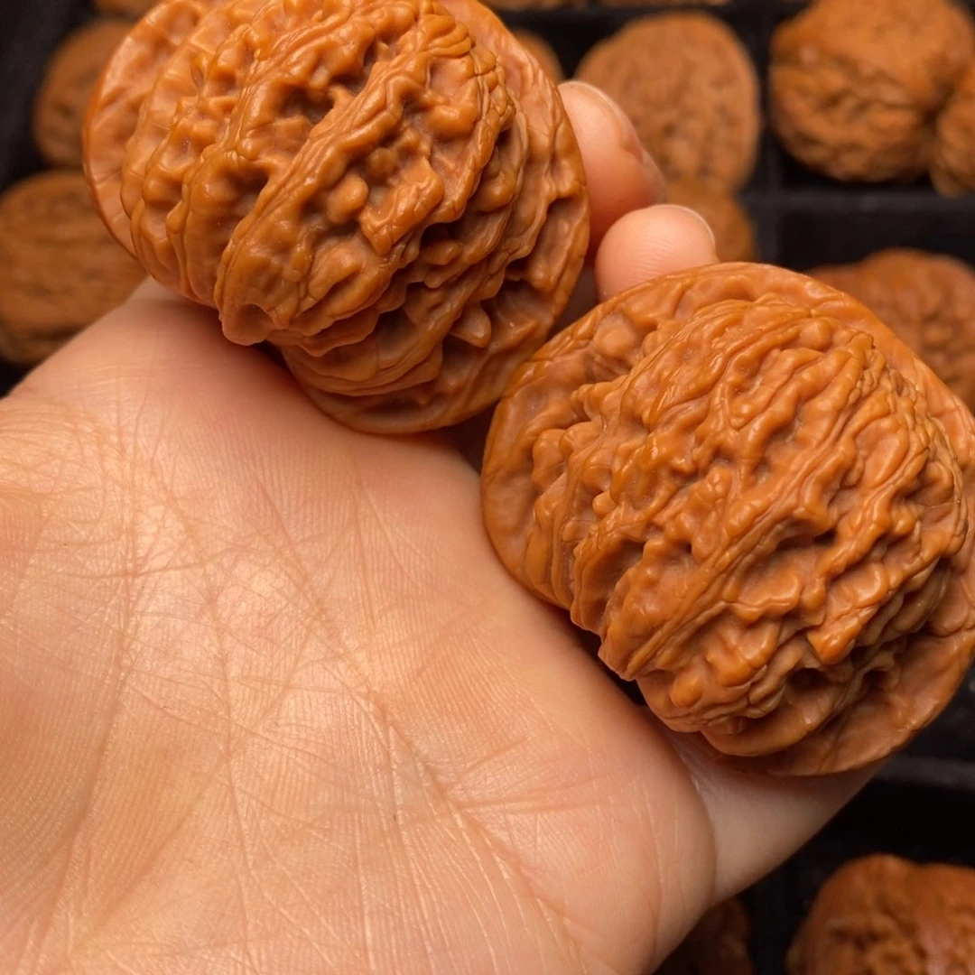 文玩核桃把件秦岭野生核桃