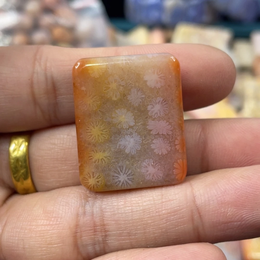 未镶嵌手镯硅化玉