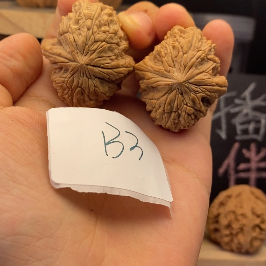 B3暴雪狮子头白茬无修