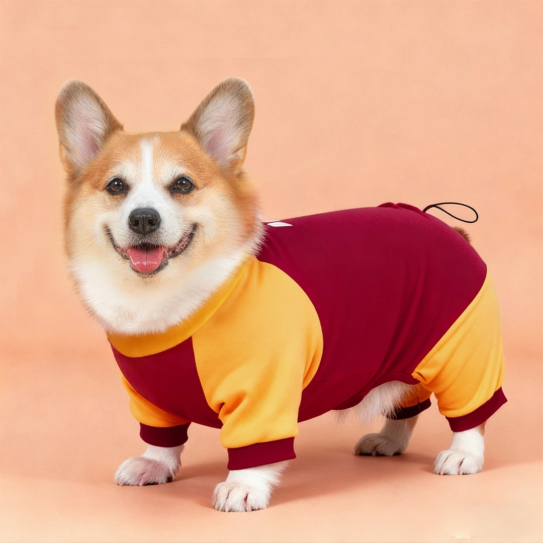 宠物狗狗2025新款衣服秋冬保暖柯基四脚衣新年喜庆中型犬防寒冬装