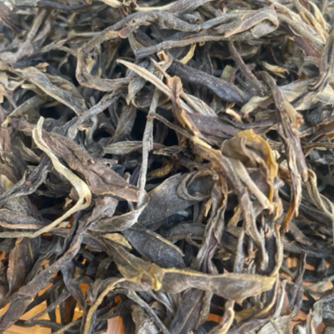 正宗云南大雪山古树生茶