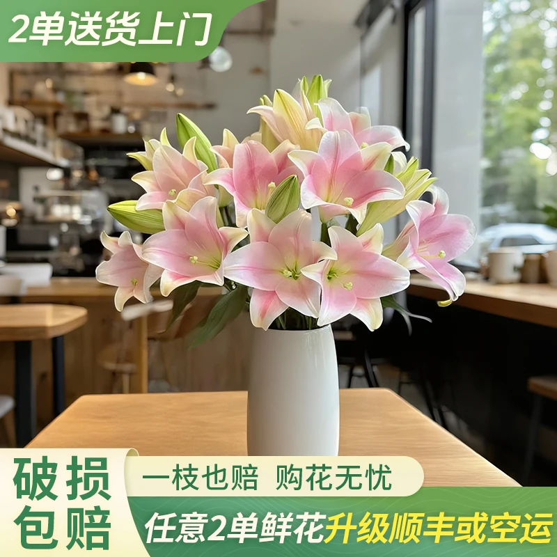 【柔柔甄选】粉铁炮百合-任意2单鲜花包邮发货后不支持退款