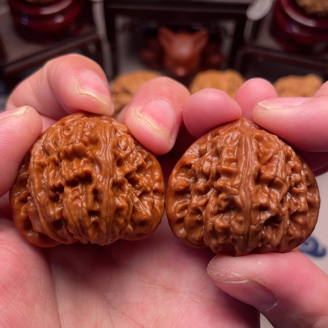 红皮超级正三角白37头货