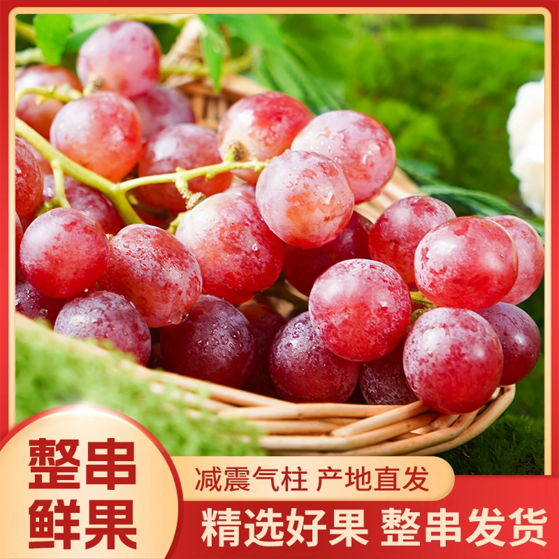 【京东包邮】大颗红提葡萄陕西临渭葡萄新鲜多汁皮薄纯甜当季水果