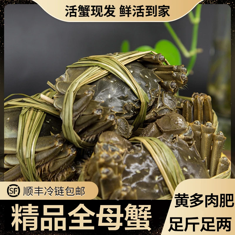 【活蟹】x现捕现发金标蟹精品大闸蟹鲜活全母蟹3.2-2.9两6只8只装10只装鲜活螃蟹礼盒装大母蟹顺丰冷链发货