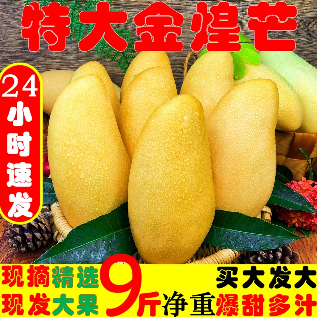【精品礼盒】正宗海南金煌芒黄皮金煌芒一级果礼盒装原产地现摘现发