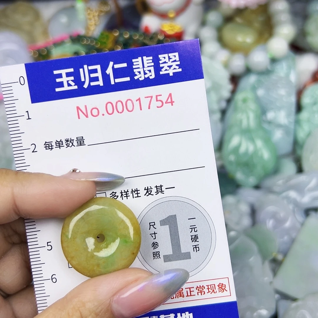 翡翠未镶嵌颈饰111