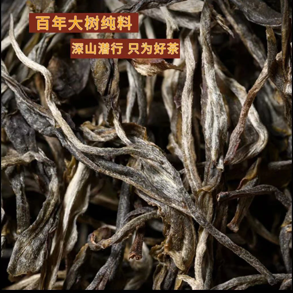 2024年春邦东曼岗精选春茶古树普洱茶生茶散茶