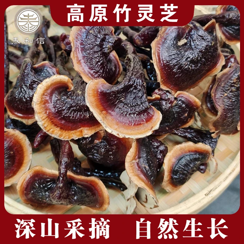 【云南直发】高原竹灵芝 下山助农山货 自然生长 煲汤煮茶滋补营养