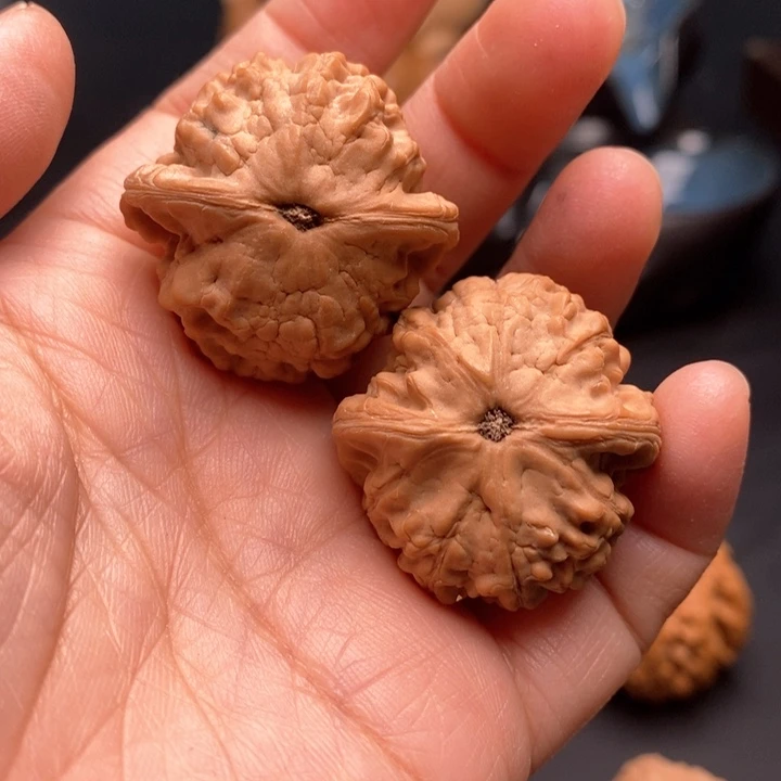 文玩核桃把件小金鱼