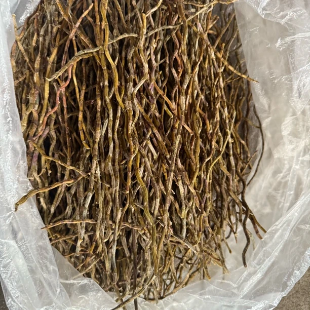 【铁皮石斛干条】净含量250g----1000g