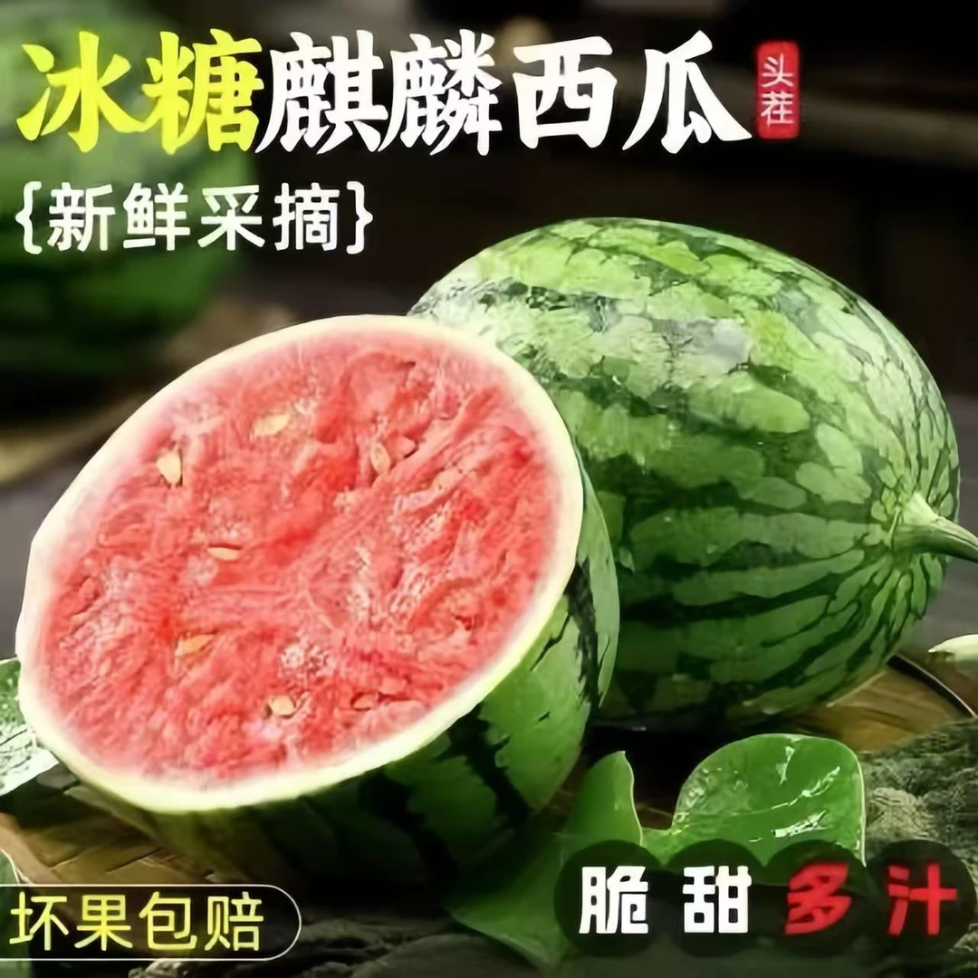 正宗麒麟西瓜产地直发新鲜当季8424西瓜口感脆甜多汁