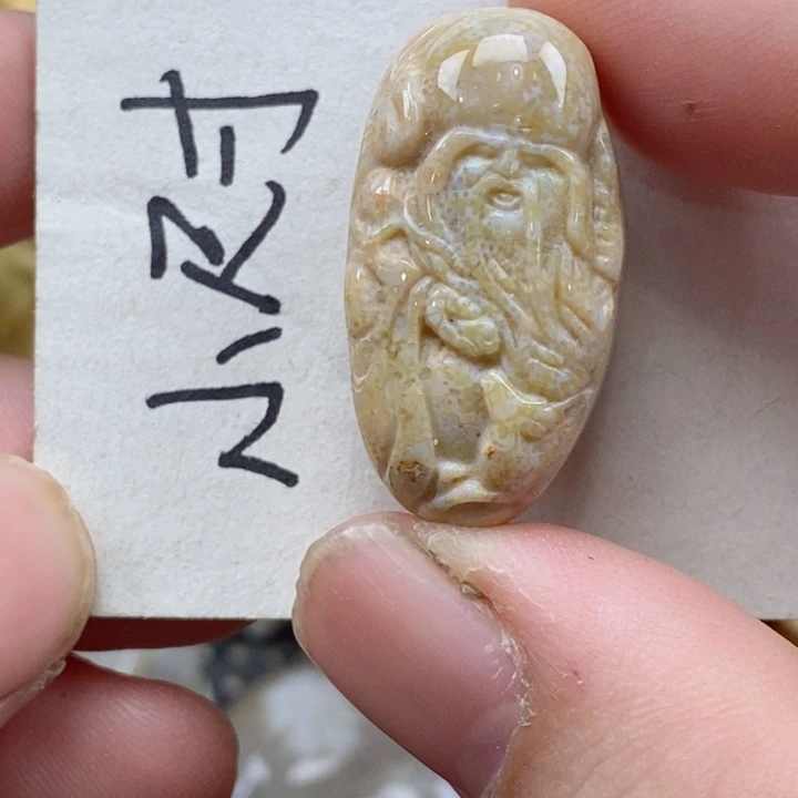 颈饰未镶嵌硅化珊瑚（珊瑚玉）